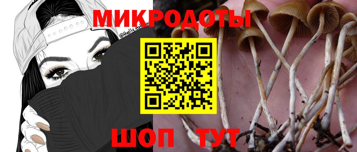 Кунгур  наркошоп  Вход с VPN  Галлюциногенные грибы Cubensis 